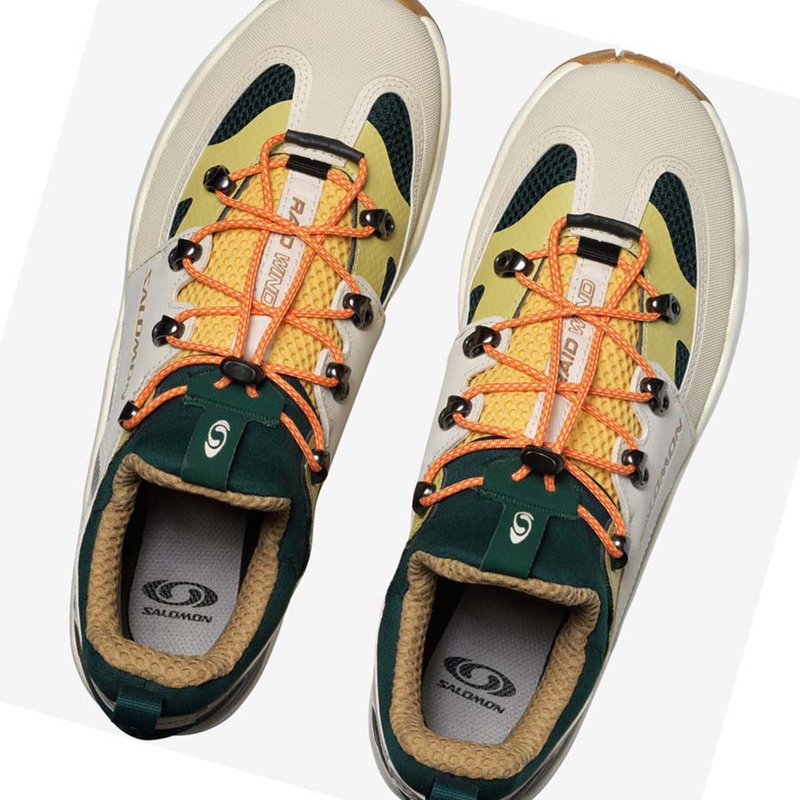 Salomon RAID WIND Sneakers Dames Beige | 78024-YPHL