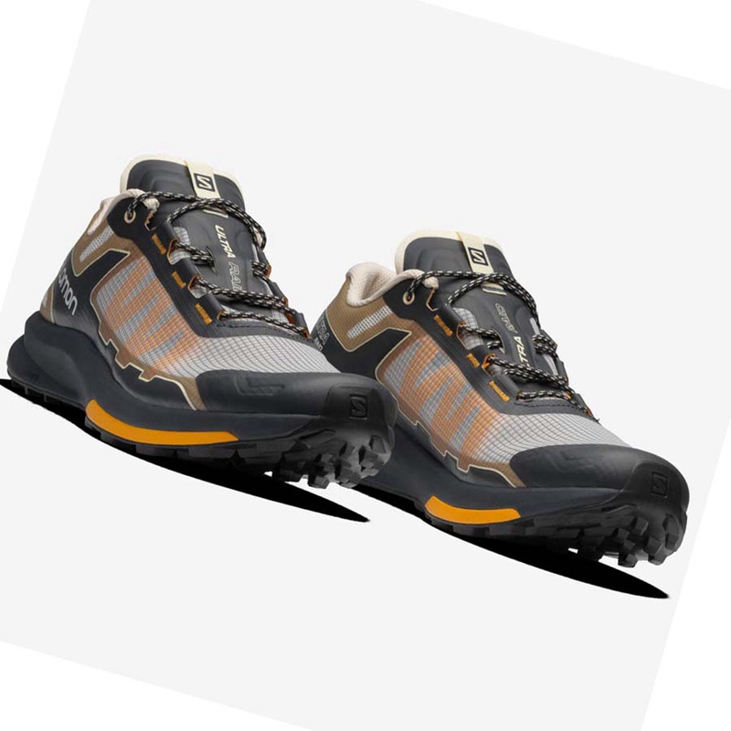 Salomon ULTRA RAID Sneakers Heren Bruin Zilver | 47089-JAMT