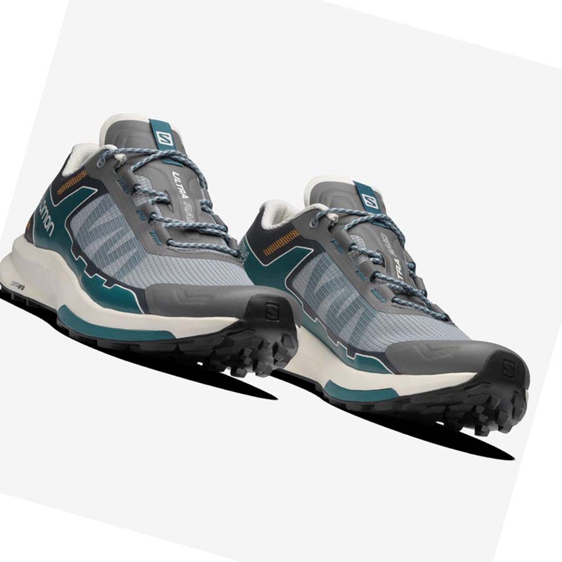 Salomon ULTRA RAID Sneakers Heren Grijs | 83695-JRKX
