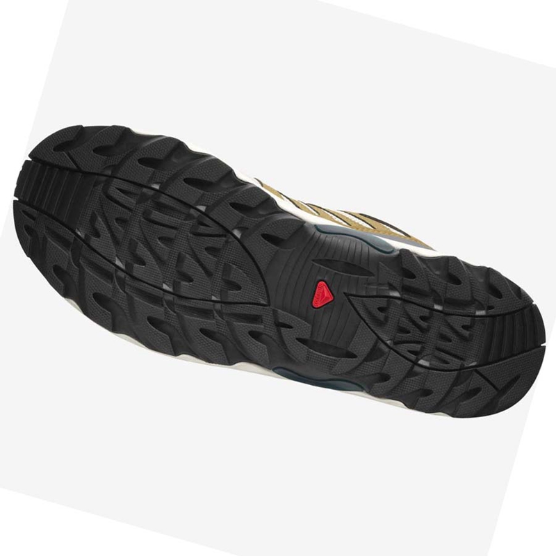 Salomon XA PRO 1 Sneakers Dames Bruin | 59247-KZHI